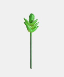 Alternative view of Official Key Items Small Succulents