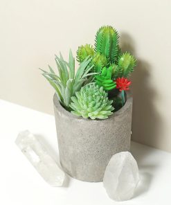 Official Key Items Small Succulents