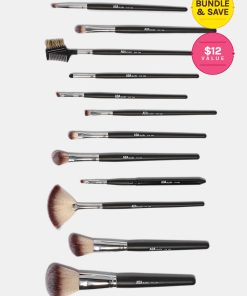 AOA 12-Piece PM Brush Set