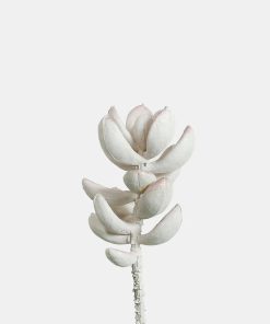 Official Key Items Artificial Succulents - Green White Indian Sedum