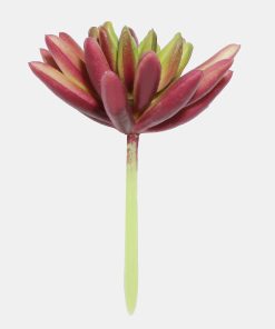 Alternative view of Official Key Items Artificial Succulents - Red Spike Rosette