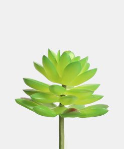 Official Key Items Artificial Succulents - Green Fat Lotus
