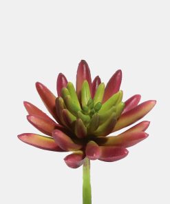 Official Key Items Artificial Succulents - Red Spike Rosette