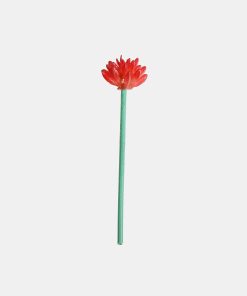 Alternative view of Official Key Items Small Succulents