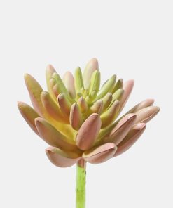 Official Key Items Artificial Succulents - Pink Spike Rosette