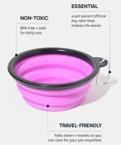Alternative view of Collapsible Pet Bowl